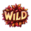 Wild Symbol